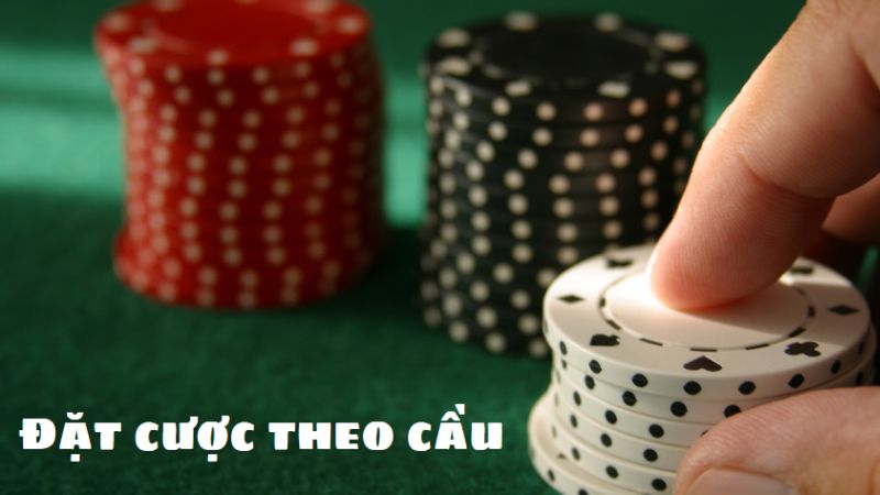 Đặt cược và dự đoán theo cầu