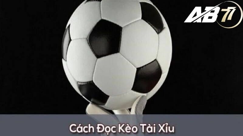 cách đọc kèo tài xỉu